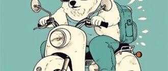 7328